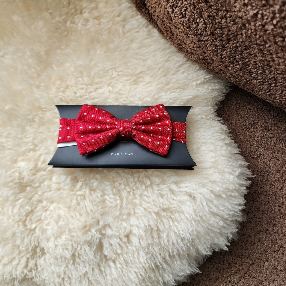 Zara Man Bowtie